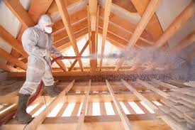 Best Insulation for New Construction  in Clewiston, FL