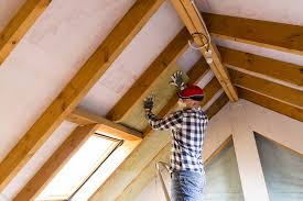 Professional Insulation Services in Clewiston, FL