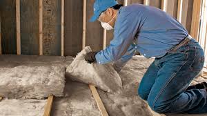 Types of Insulation We Offer in Clewiston, FL