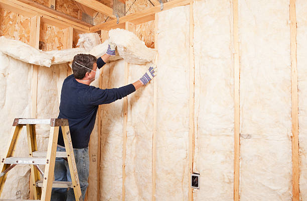 Best Insulation for Metal Buildings  in Clewiston, FL