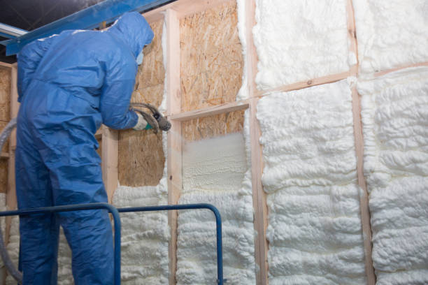 Best Insulation Air Sealing  in Clewiston, FL